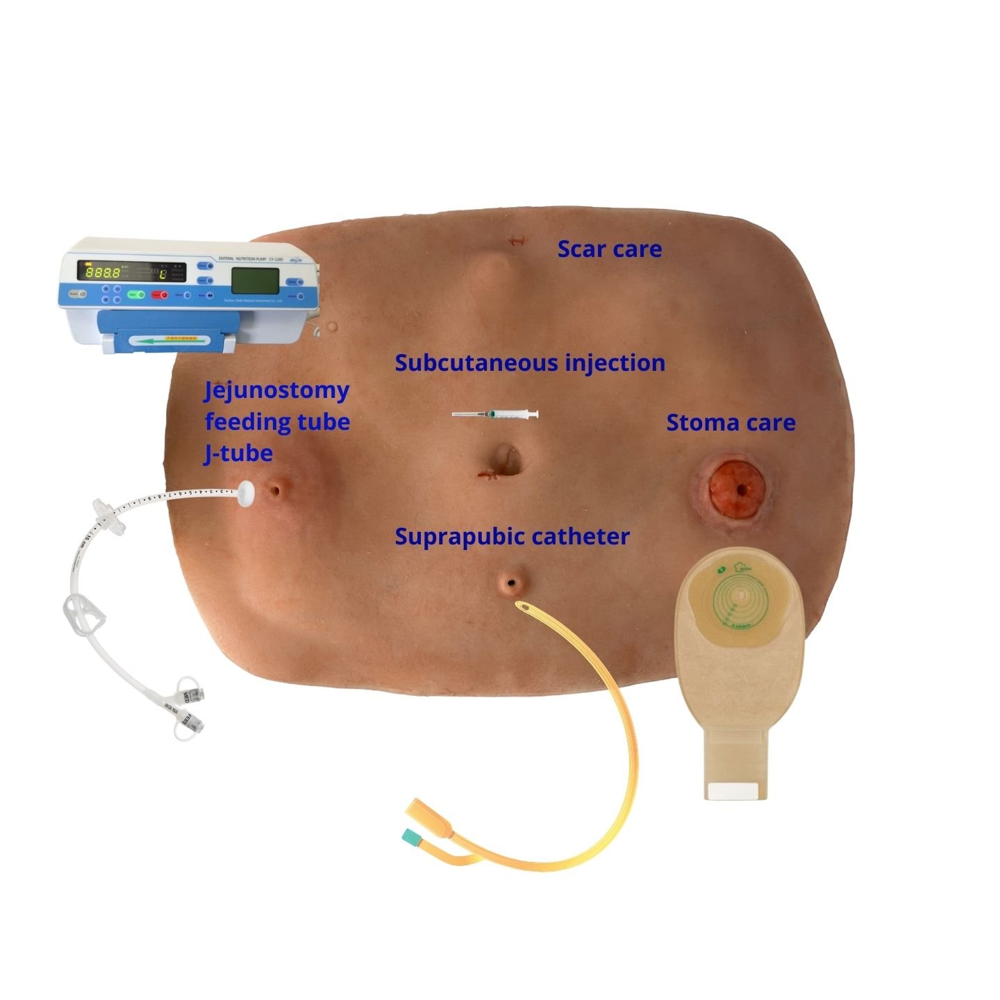 Abdominal Multi Task Trainer All Features